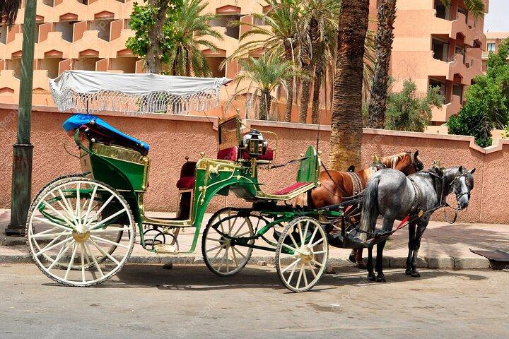 1-Hour Horse Carriage Drawn Marrakech City Tour