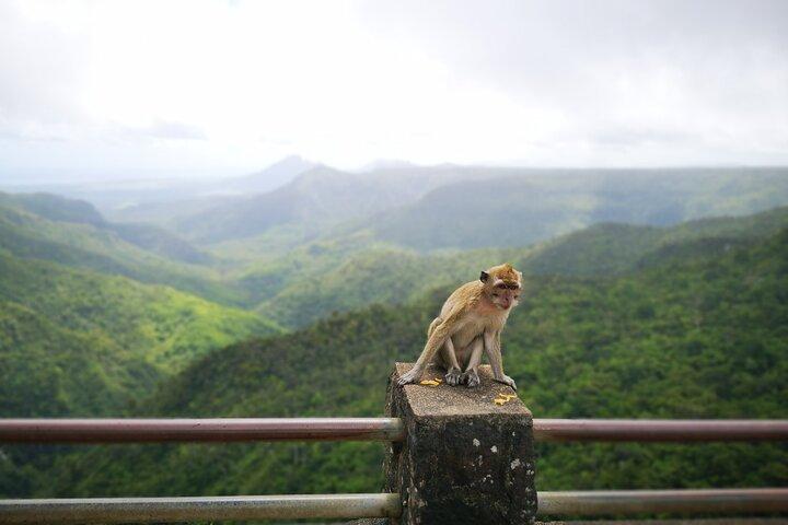 Mauritius Tour guidato del sud "Privato"