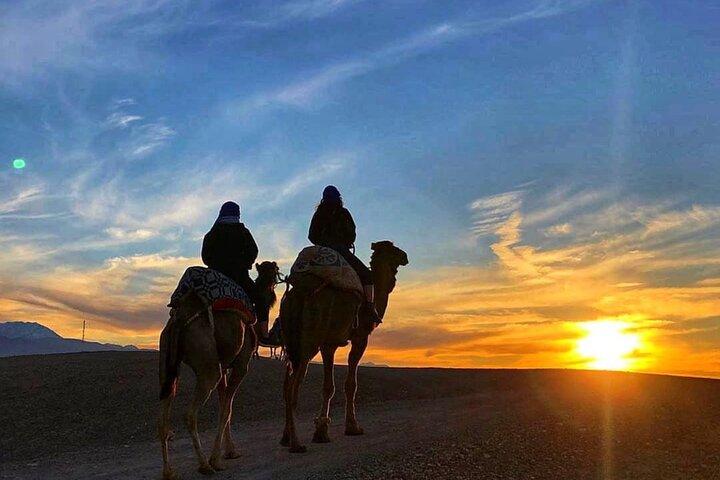 Dinner Under the Stars Desert Agafay & Sunset Camel Ride