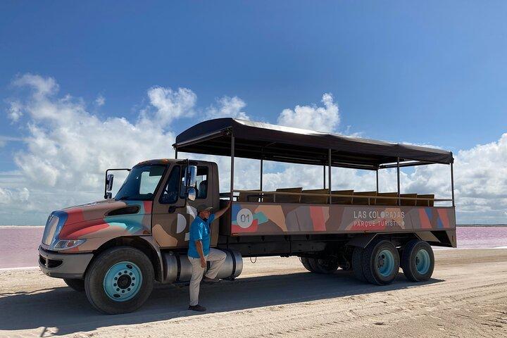Entrébiljett till safari i Las Coloradas rosa laguner