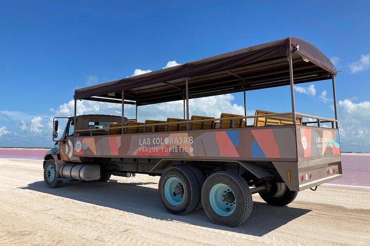 Entrébiljett till safari i Las Coloradas rosa laguner