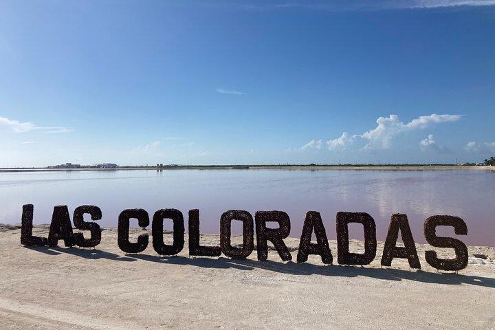 Entrébiljett till safari i Las Coloradas rosa laguner