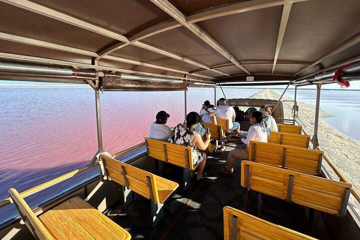 Entrébiljett till safari i Las Coloradas rosa laguner