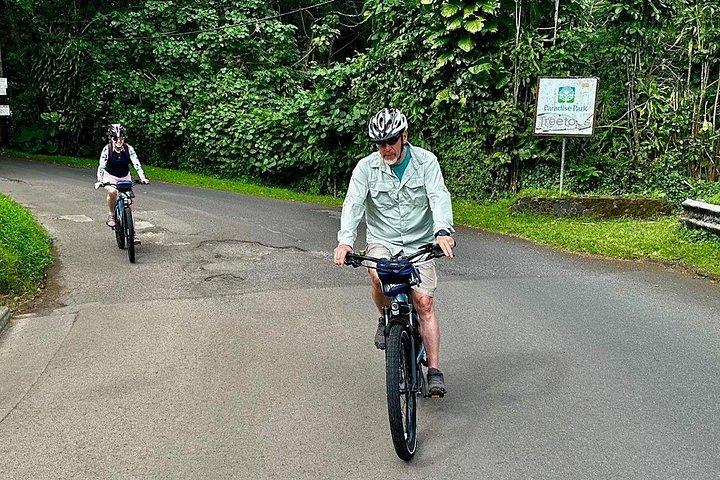 マノア滝 - 電動自転車でのハイキング体験 地元の食事込み