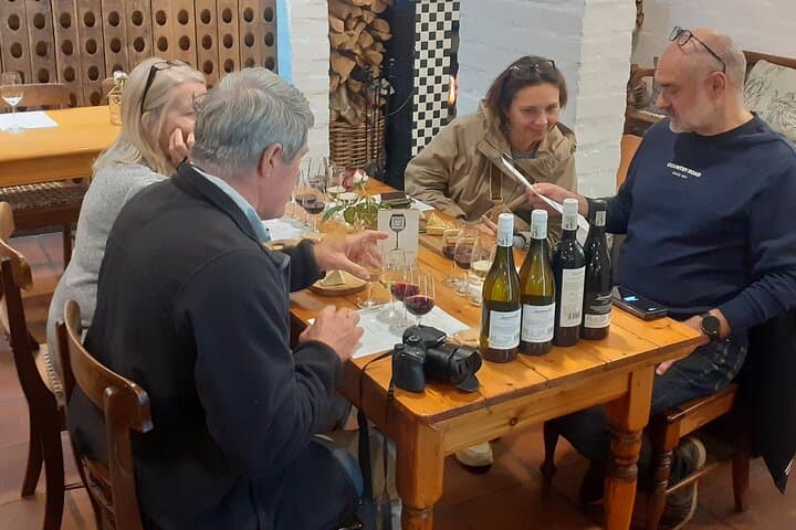 Stellenbosch&Franschhoek wineTasting Private Tour From Cape Town