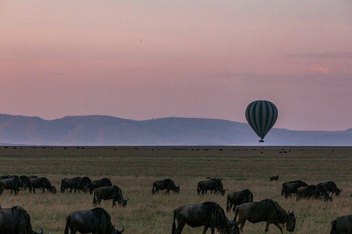 Masai Mara 3 Tage 2 Nächte