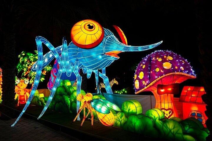 Visit Dubai Garden Glow with Optional Pick up and Drop off