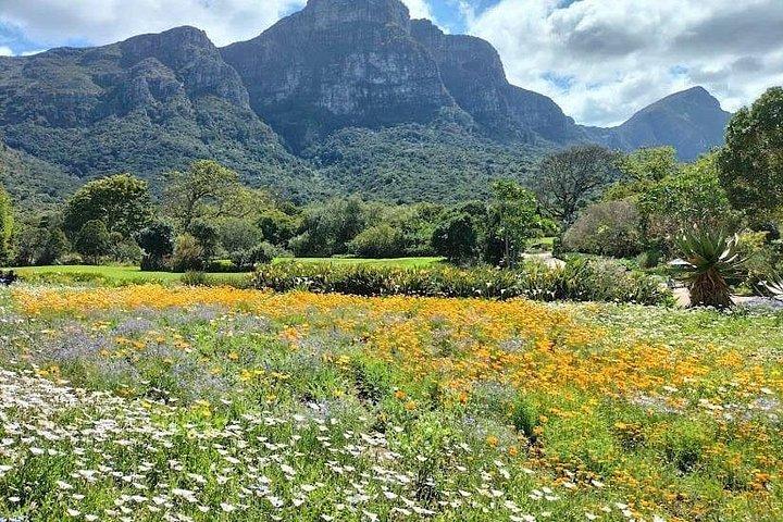 Ilha Robben, Table Mountain e kirstenbosch da Cidade do Cabo