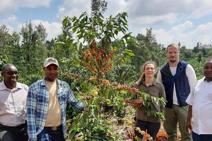 Tour privado de 4 horas por una granja de café en Nairobi