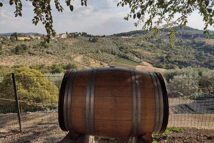 Chianti: eno-utflykt genom vingårdarna