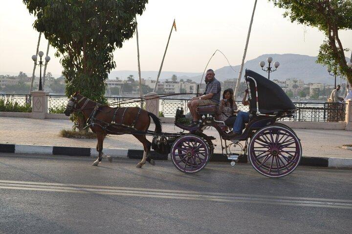 Privétour door Luxor City met traditioneel vervoer