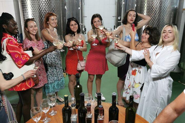 Gastro- en wijntour door Dubrovnik op het platteland