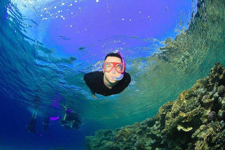 Experiência de mergulho com snorkel na Ilha Tiran pelo iate Sharm El Sheikh
