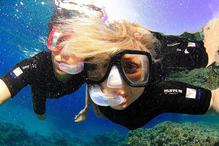 Experiência de mergulho com snorkel na Ilha Tiran pelo iate Sharm El Sheikh