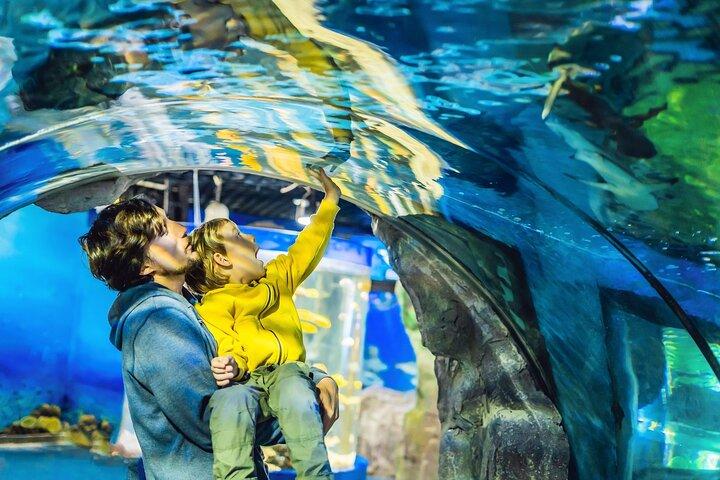 Billet d'entrée à l'aquarium et au zoo sous-marin de Dubaï