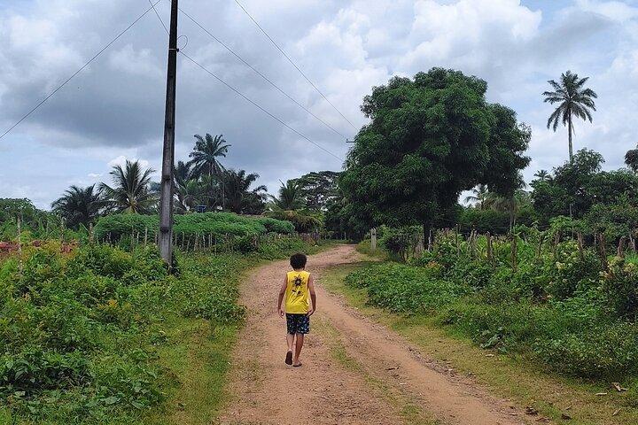 Freedom Route Tour to Cachoeira Quilombos