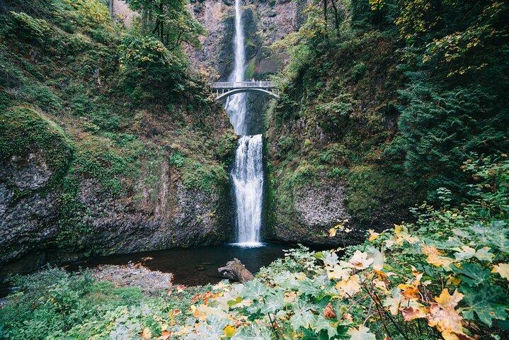 Excursão para Monte Hood saindo de Portland para a Cachoeira Multnomah e Rio Hood