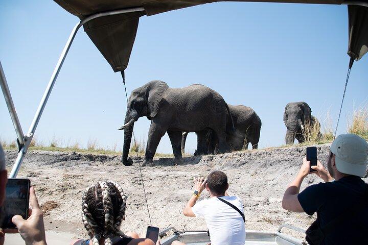 ビクトリアの滝とチョベ国立公園を体験（4日間の旅）