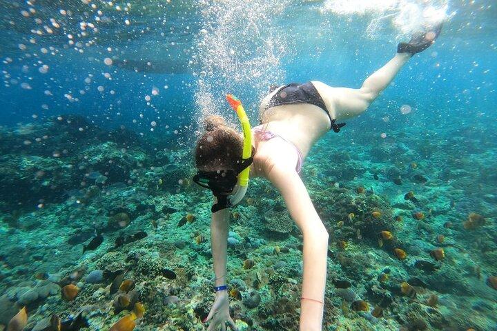 Manta Bay Snorkeling Adventure com Kelingking Beach Nusa Penida All Inclusive