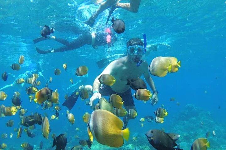 Manta Bay Snorkeling Adventure com Kelingking Beach Nusa Penida All Inclusive