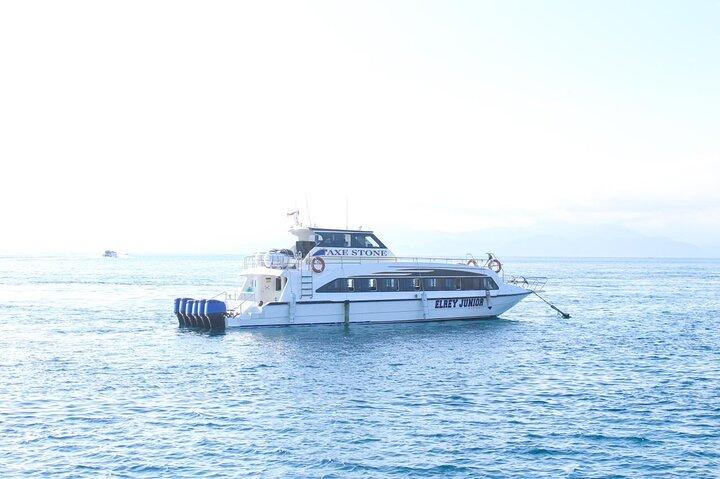 Manta Bay Snorkeling Adventure com Kelingking Beach Nusa Penida All Inclusive