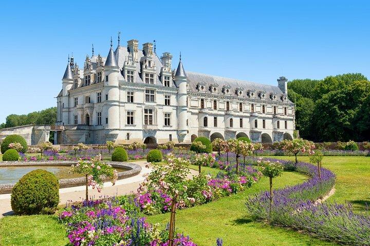 Visita privata dei castelli di Chaumont e Chenonceau da Tours