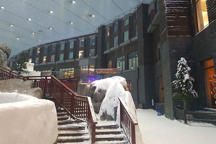 Ski Dubai : billet d'entrée au Snow Park