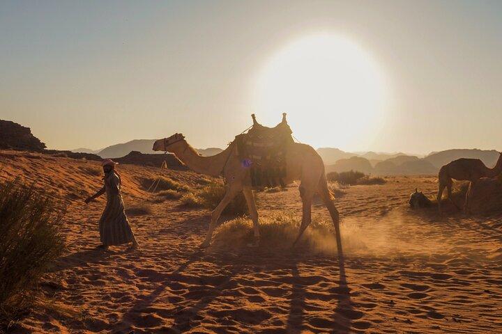 Explore Wadi Rum Desert with Camel Ride Experience with Stay