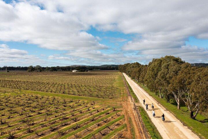 Hahndorf comida e vinho E-Bike Tour