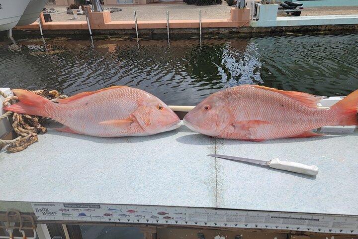Expérience de pêche Marathon Florida Keys