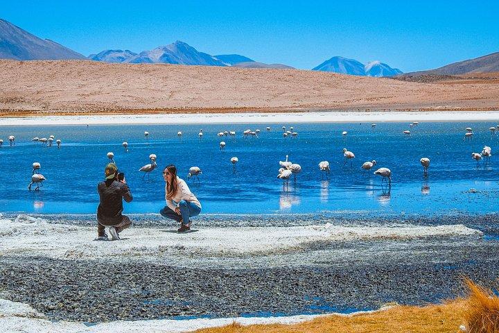 Uyuni Salt Flats 3日間/ 2泊、英語が話せるガイド付き
