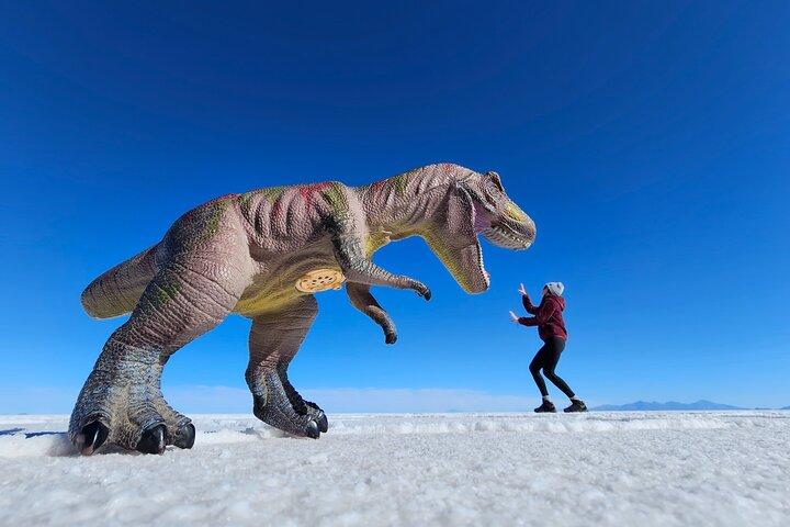 Uyuni Salt Flats 3日間/ 2泊、英語が話せるガイド付き