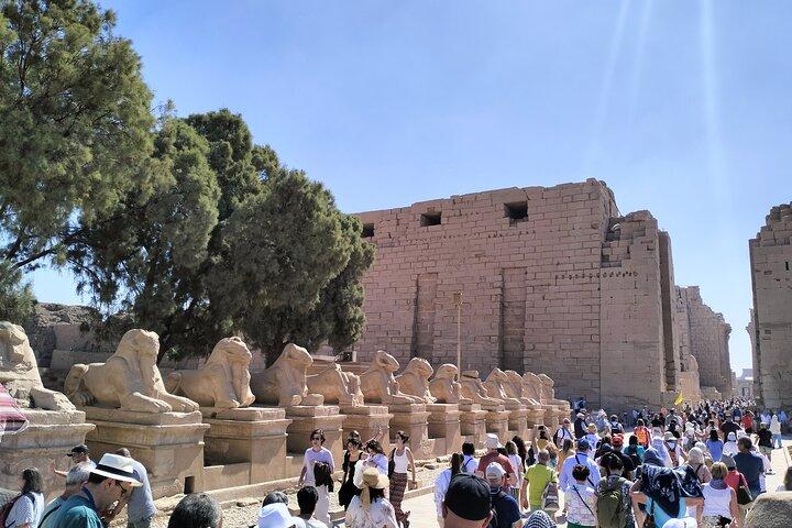 10 Dag Egypte wonderen GEM piramide Nijl en Hurghada Vlucht