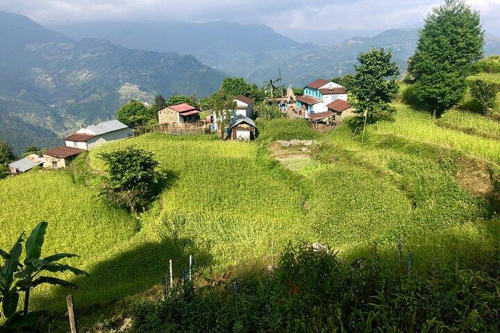 Pokhara: 4 Tage Royal Trek mit der Familie