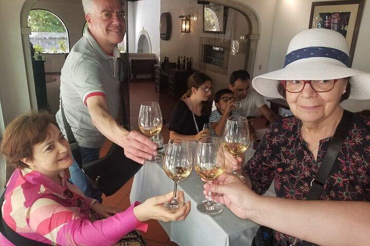 Azeitão Wines Tour and Stunning View Lisbon
