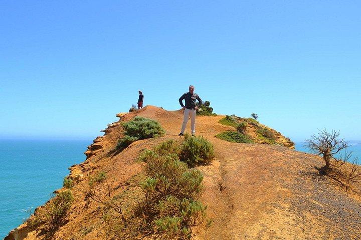 Great Ocean Road - Private Discovery Tour