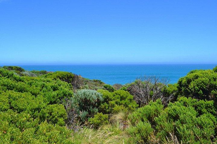 Great Ocean Road - Private Discovery Tour