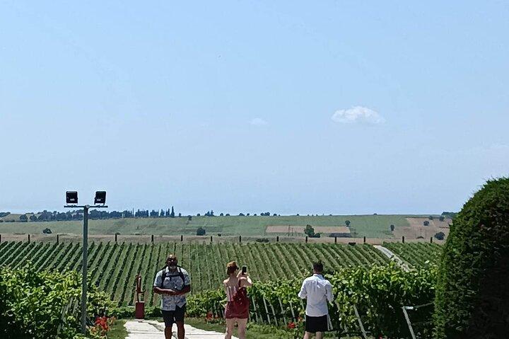 Voyage de vin à Thessalonique dans une cave emblématique (Croisière amicale)