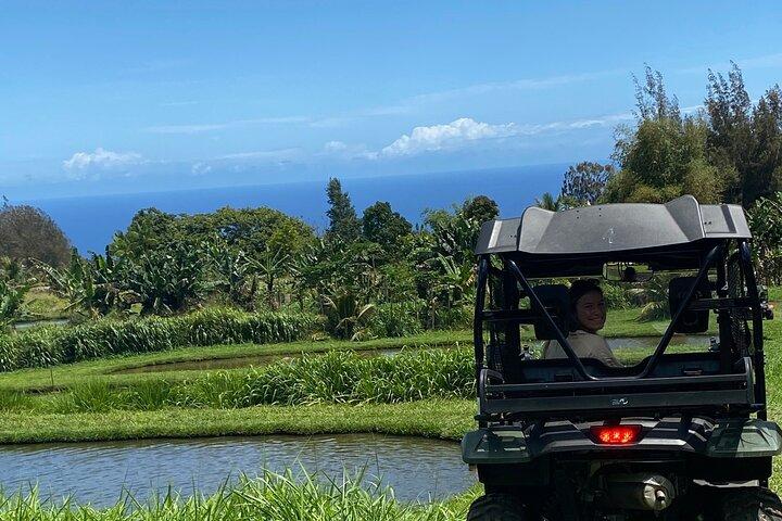 Waipi’o a cavallo:Attività simili a Working Cattle Ranch