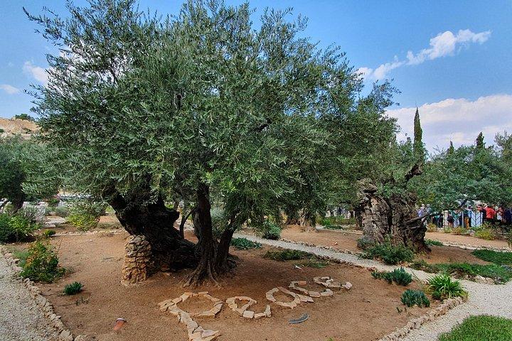 Jerusalem Day Tour – Explore the Old & New City Like Never Before