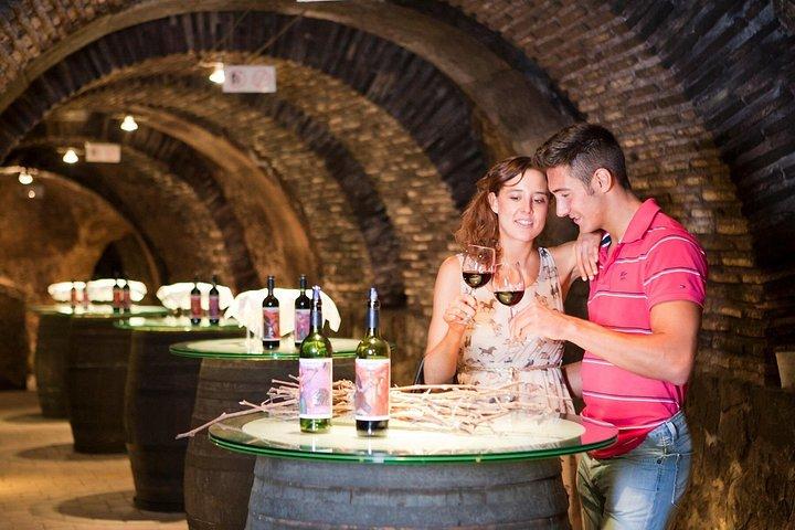 Secret Rioja: Exclusive Winery Access and Tasting Masterclass