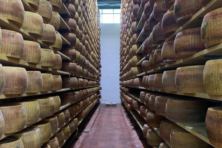 Tour Ferrari, Lambo, Parmigiano, Balsamico, Wein mit Mittagessen