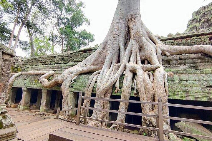 Tour de 3 días en Siem Reap