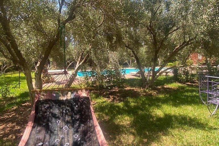 Pool- og kameltur nær Marrakech