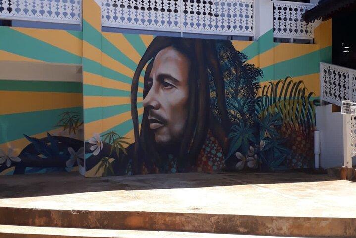 Bob Marley Nine Mile Sightseeing Tour från Ocho Rios