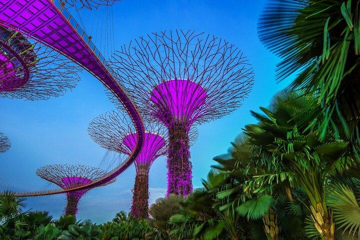Paquete combinado de Singapore Gardens by the Bay