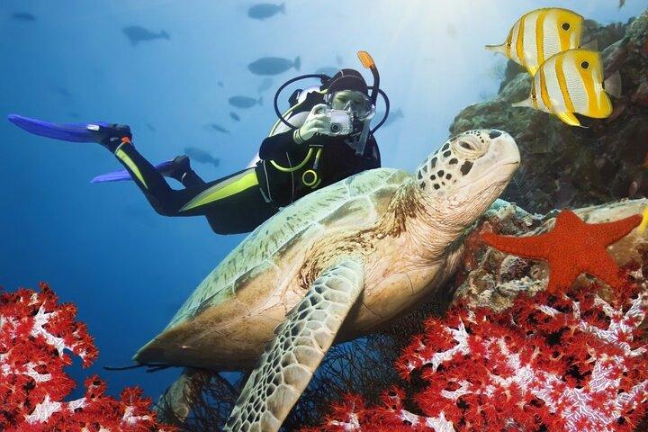 Excursion de plongée sous-marine à Marmaris avec deux plongées, déjeuner et transfert