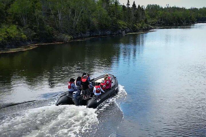 Zodiac Coastal Tour med naturforskare Guide: Lunenburg