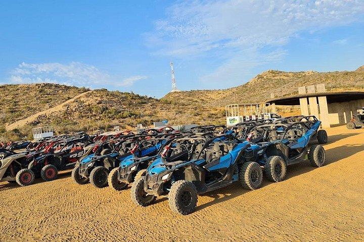 Passeio de camelo e UTV com degustação de tequila em Los Cabos