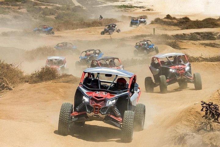 Passeio de camelo e UTV com degustação de tequila em Los Cabos